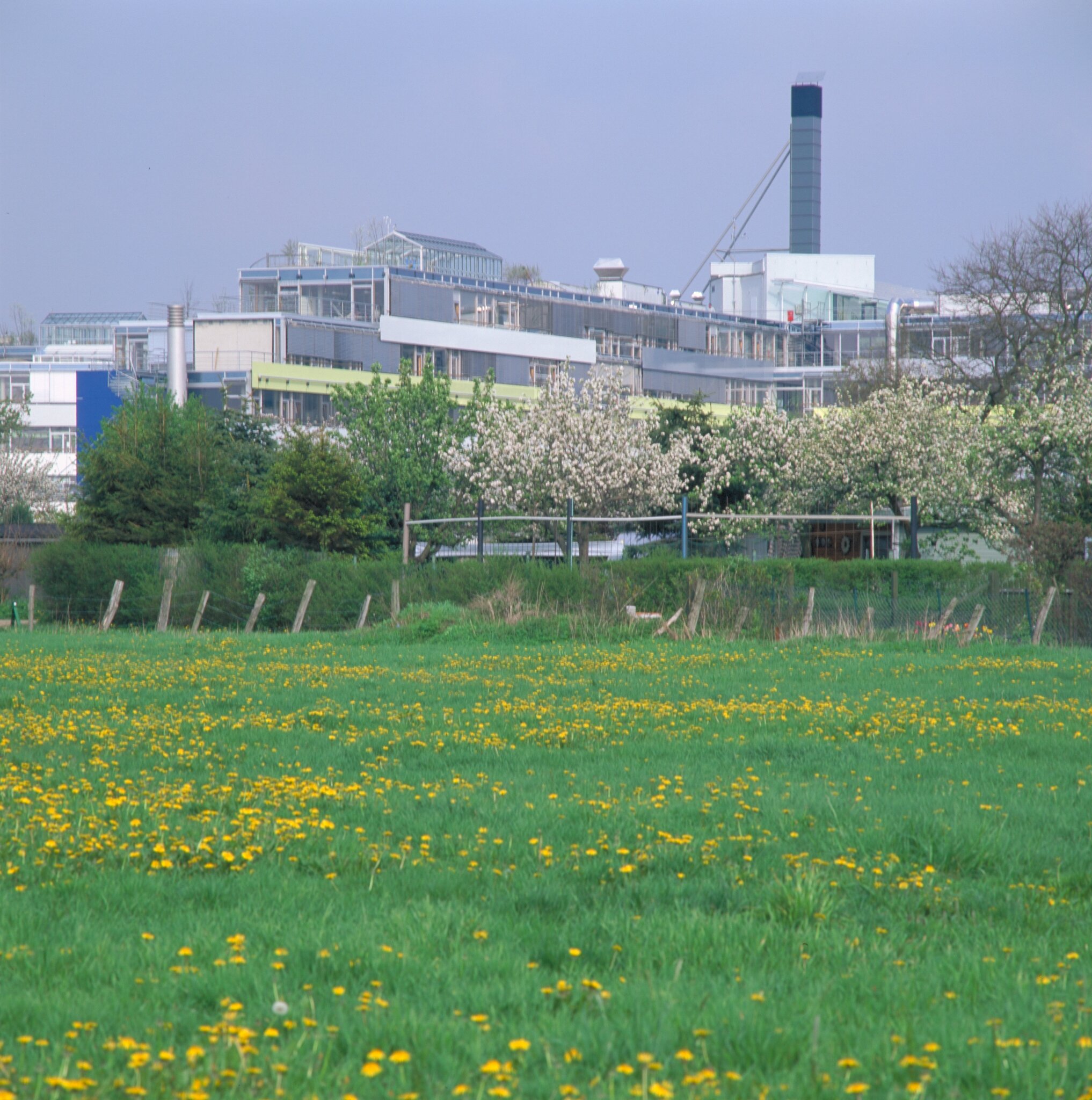 Project by Behnisch Architekturbuero, LVA &ndash; Landesversicherungsanstalt Schleswig-Holstein. The building with its roof structures lies behind a green meadow dotted with yellow flowers and trees.