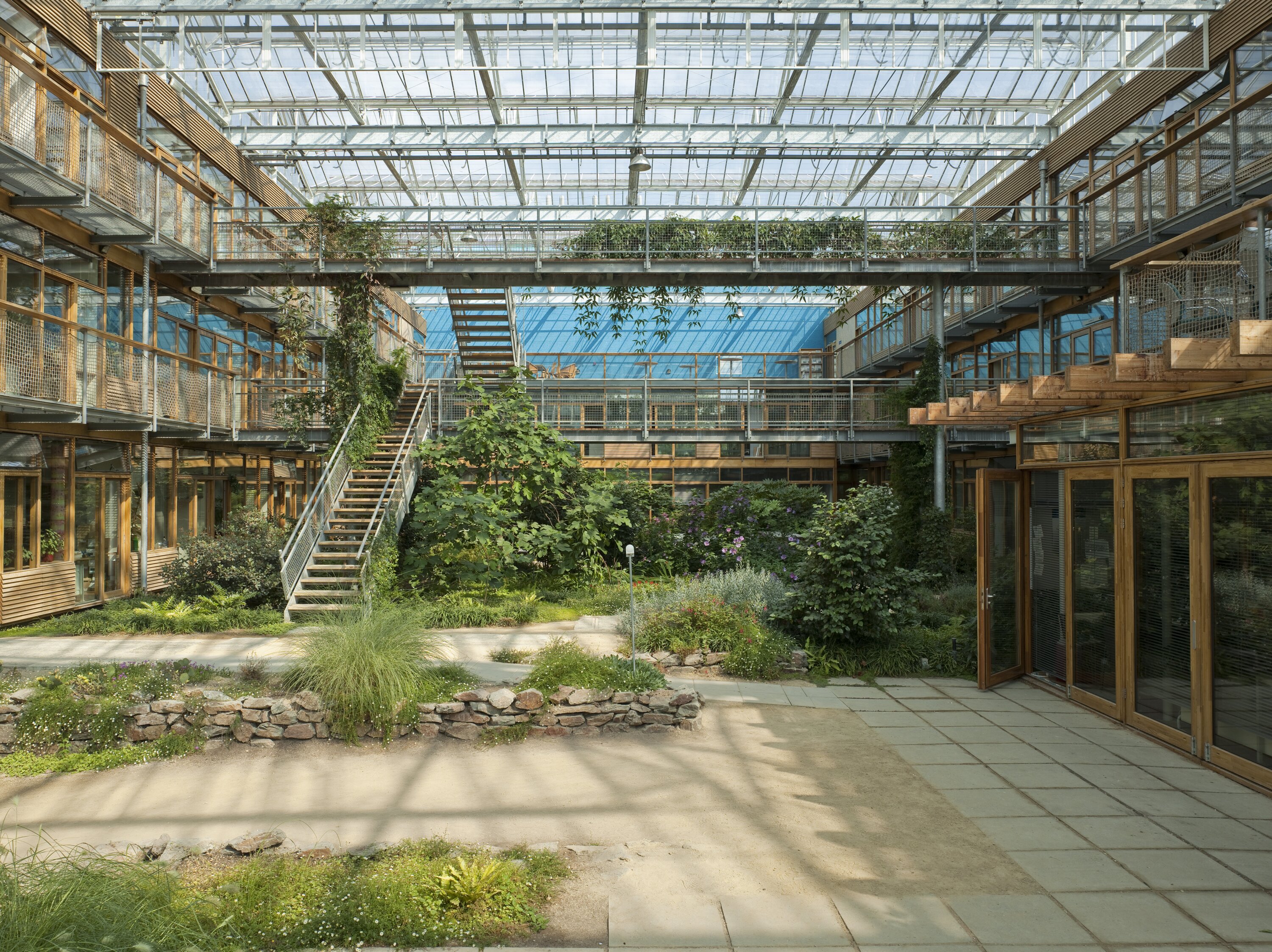 Project by Behnisch Architekturbuero, IBN-Institute for Forestry and Nature Research. Indoor courtyard garden with plants, paths, and stone beds, surrounded by glass-roofed walkways, wooden facades, and wooden stairs.