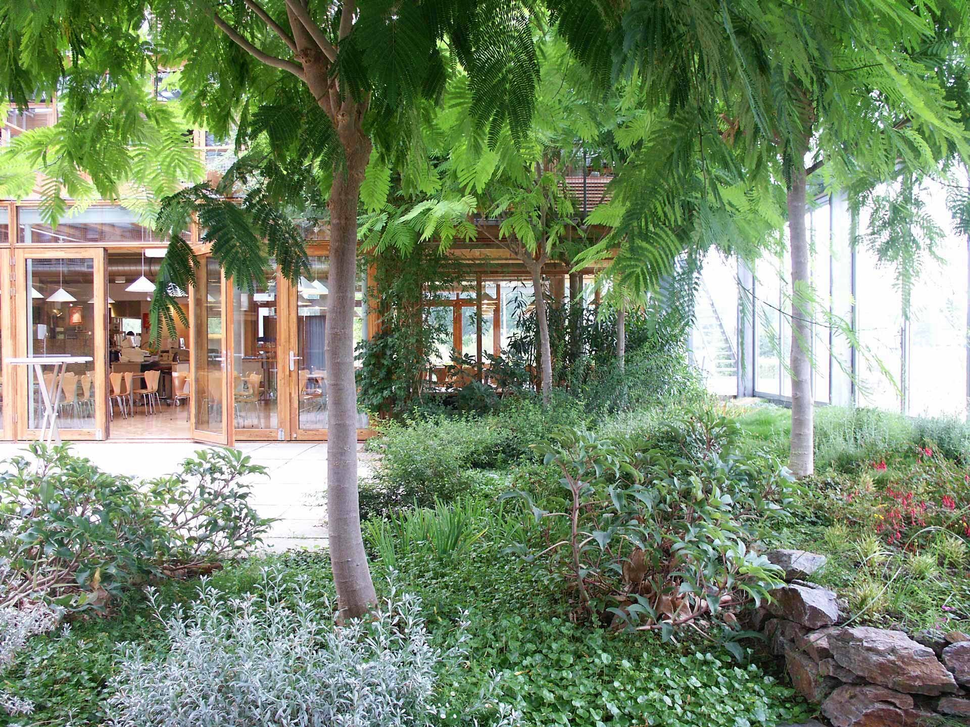 Project by Behnisch Architekturbuero, IBN-Institute for Forestry and Nature Research. Indoor garden with trees and dense greenery beside a glass-walled room with wooden frames and visible tables and chairs inside.