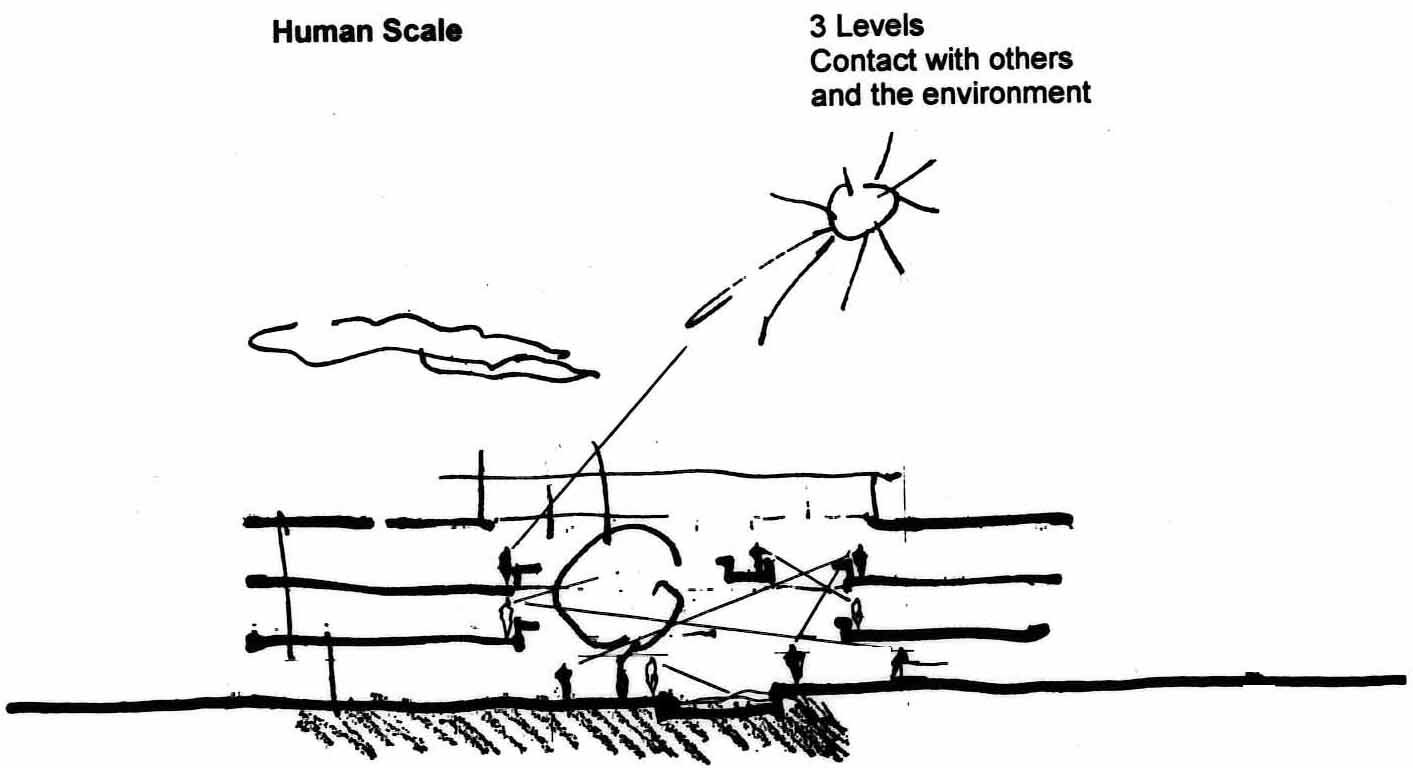Project by Behnisch Architekturbuero, IBN-Institute for Forestry and Nature Research. Concept sketch of the building regarding visual connections, sunlight exposure, and natural lighting.