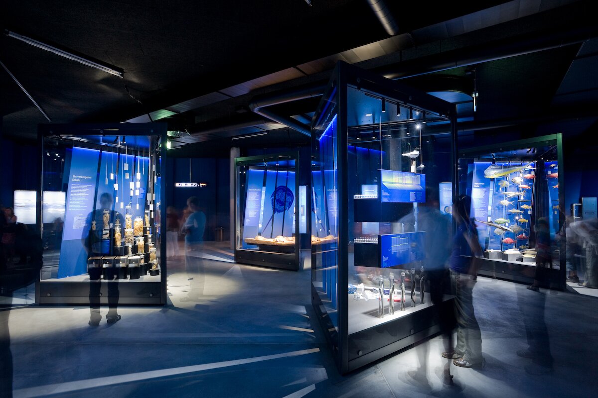 Project by Behnisch Architekturbuero, Ozeanum. Dark museum gallery with illuminated glass display cases showing artifacts and fish models, with visitors walking through the space.