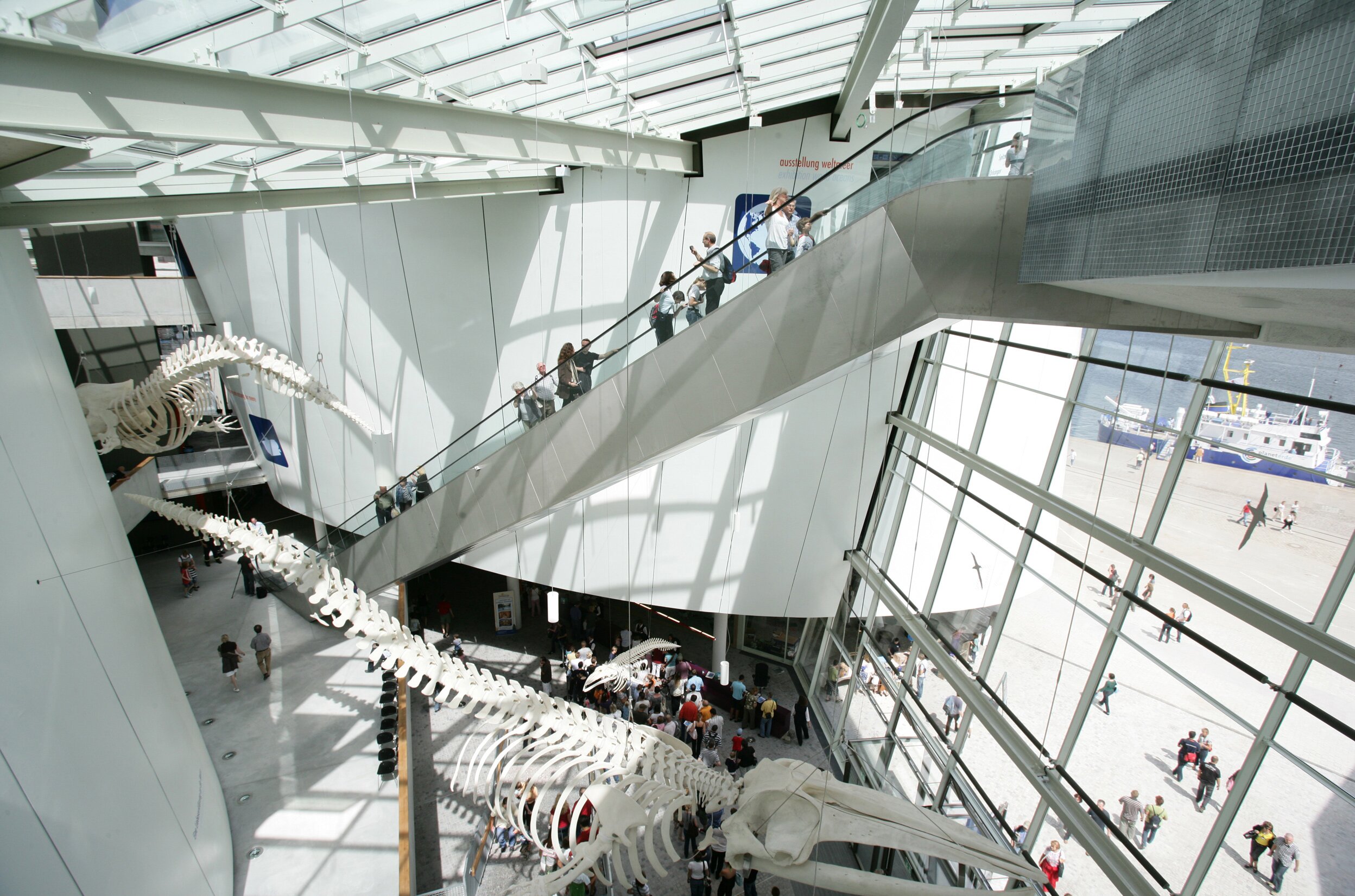 Project by Behnisch Architekturbuero, Ozeanum. Museum atrium with a large whale skeleton, visitors on an escalator and a high glass facade overlooking the outdoor plaza.