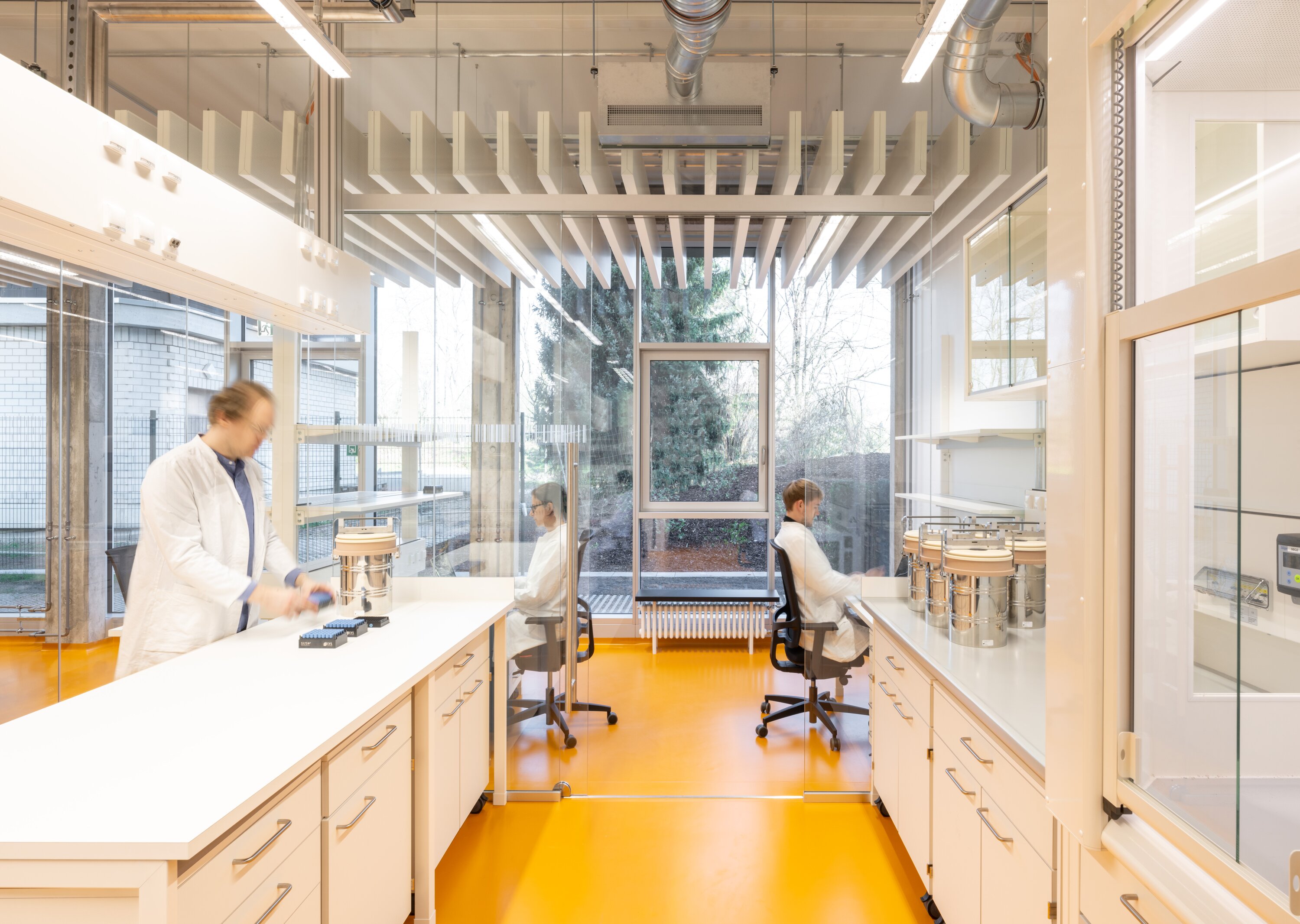 Project by Behnisch Architekturbuero, Dieter Morszeck Biorepository. Laboratory with glass walls, three people in lab coats working at benches, bright yellow floor and large windows.