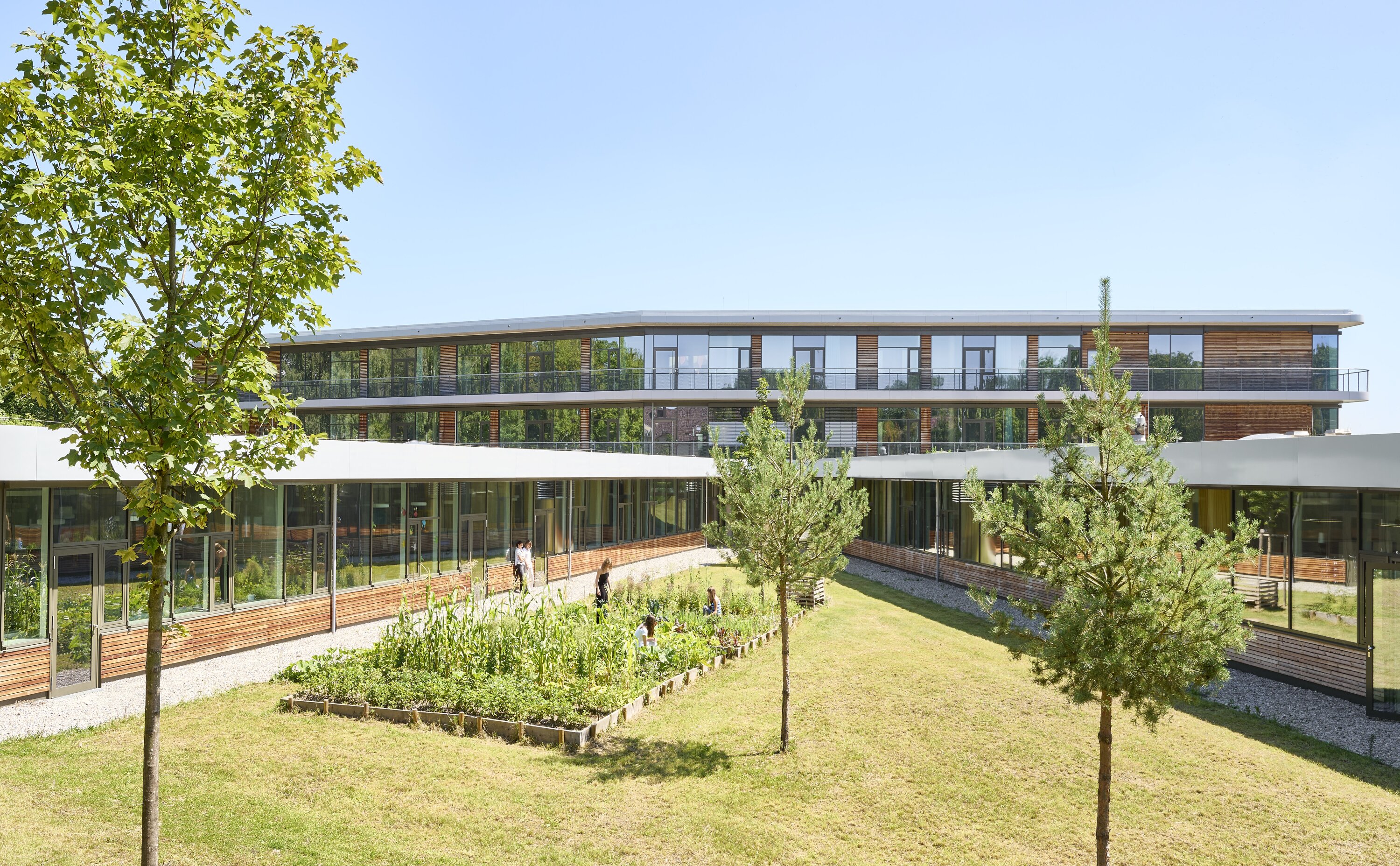 Project by Behnisch Architekturbuero, Anna-Pr&ouml;ll Secondary School and Sports Hall. The School building surrounding a courtyard garden, with trees and students working in a raised planting bed outdoors.