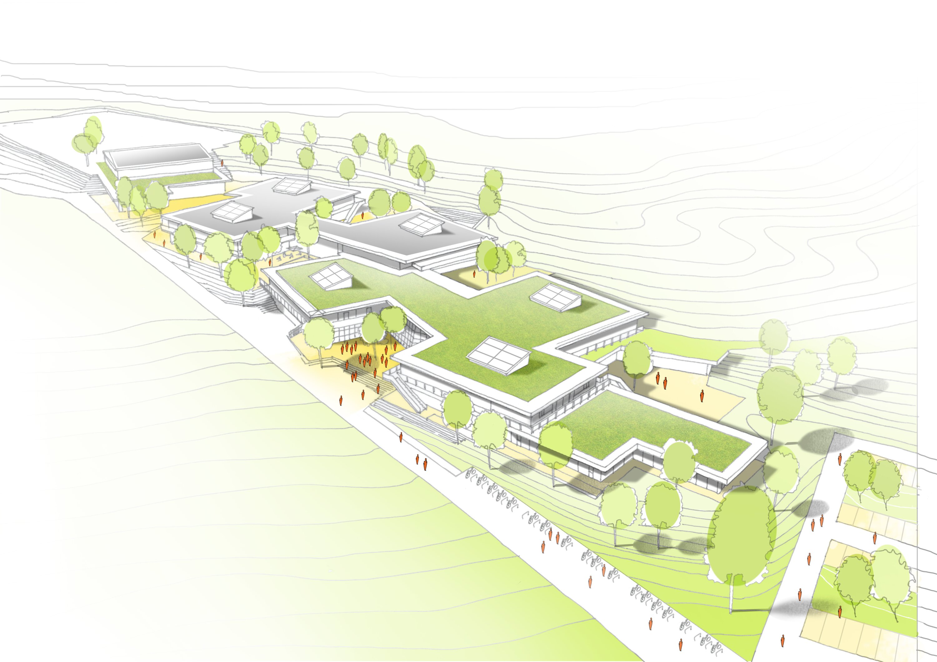 Project by Behnisch Architekturbuero, Public Secondary School Neuburg an der Donau. Axonometric site diagram of the school with green roofs, terraces, trees, and paths, set on a sloped landscape with contour lines.
