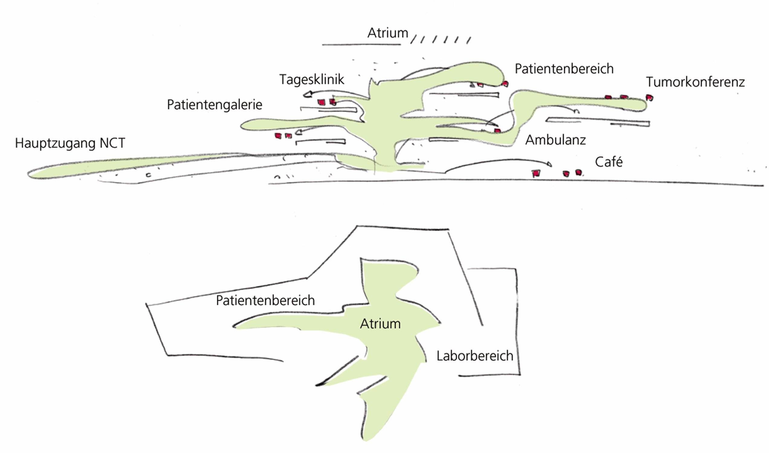 Project by Behnisch Architekturbuero, NCT National Center for Tumour Diseases. Concept sketch regarding the structure of the building.