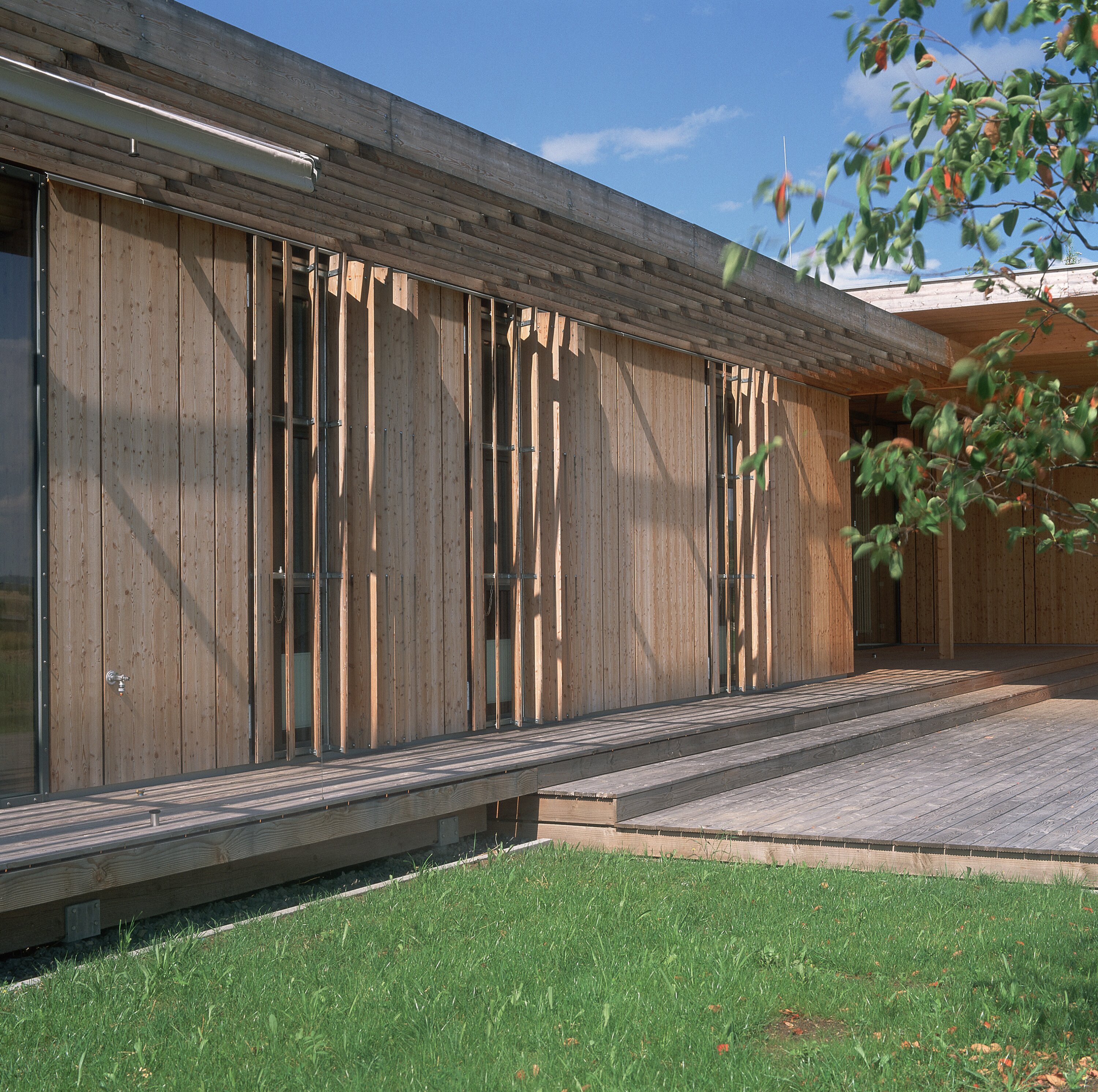 Project by Behnisch Architekturbuero, Hilde Domin School. Wood-clad building facade with vertical slats and narrow windows, fronted by a wooden deck and lawn, with tree branches in foreground.