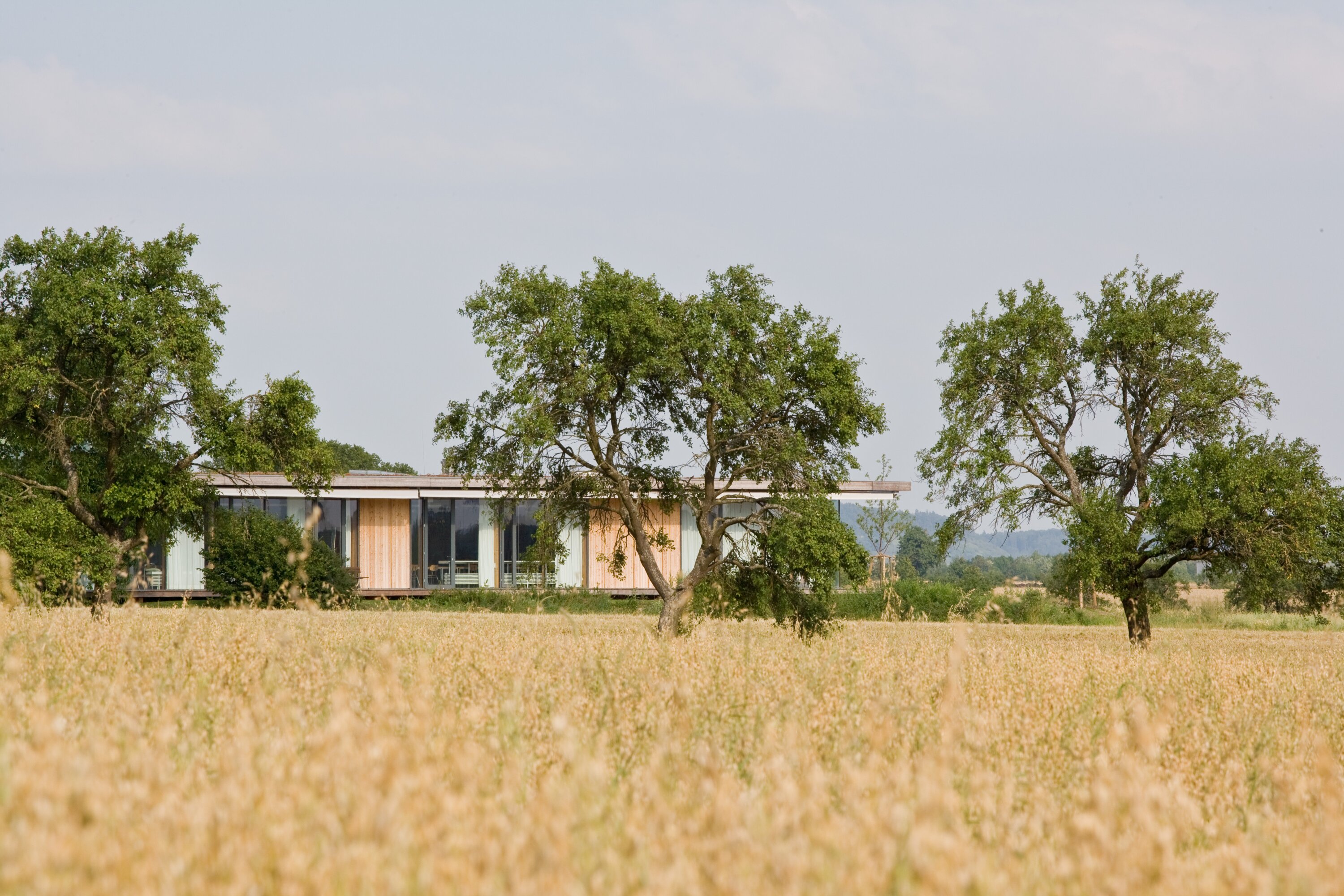 Project by Behnisch Architekturbuero, Hilde Domin School. Single-story modern house with wood and glass facade, set behind trees in a field of tall grass under a cloudy sky.