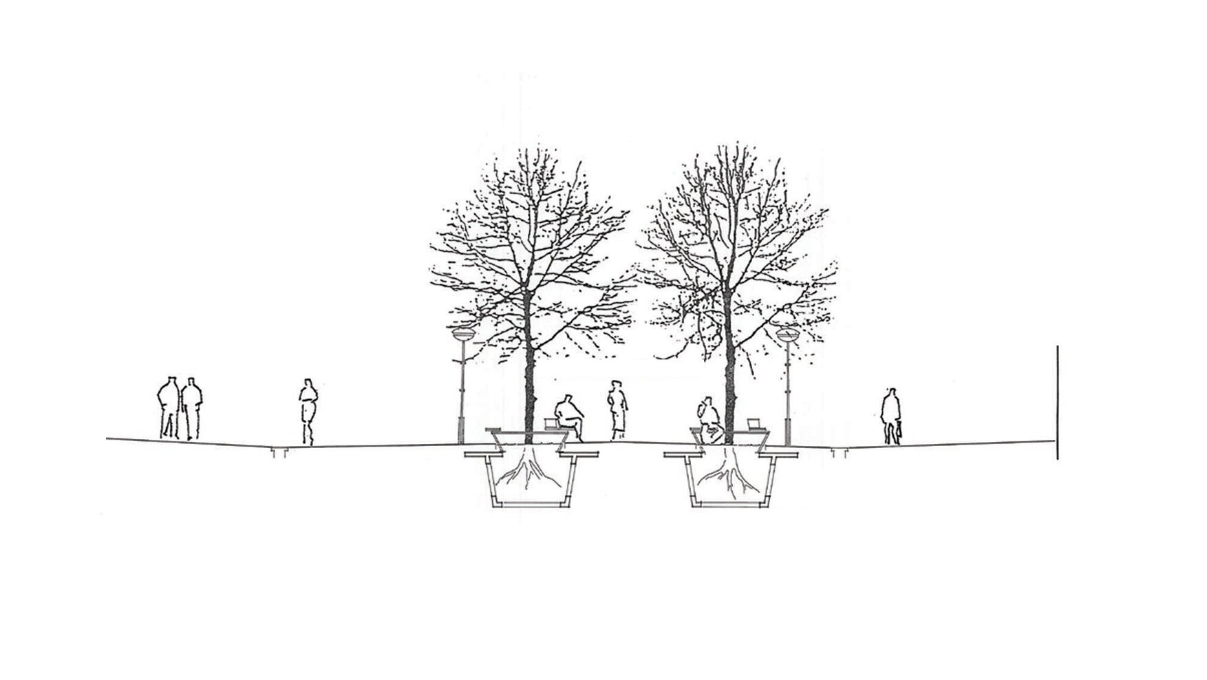 Project by Behnisch Architekturbuero, Refurbishment and Modernization K&ouml;nigsstra&szlig;e. Section drawing of a sidewalk with two trees, showing roots below ground and people standing and sitting nearby.