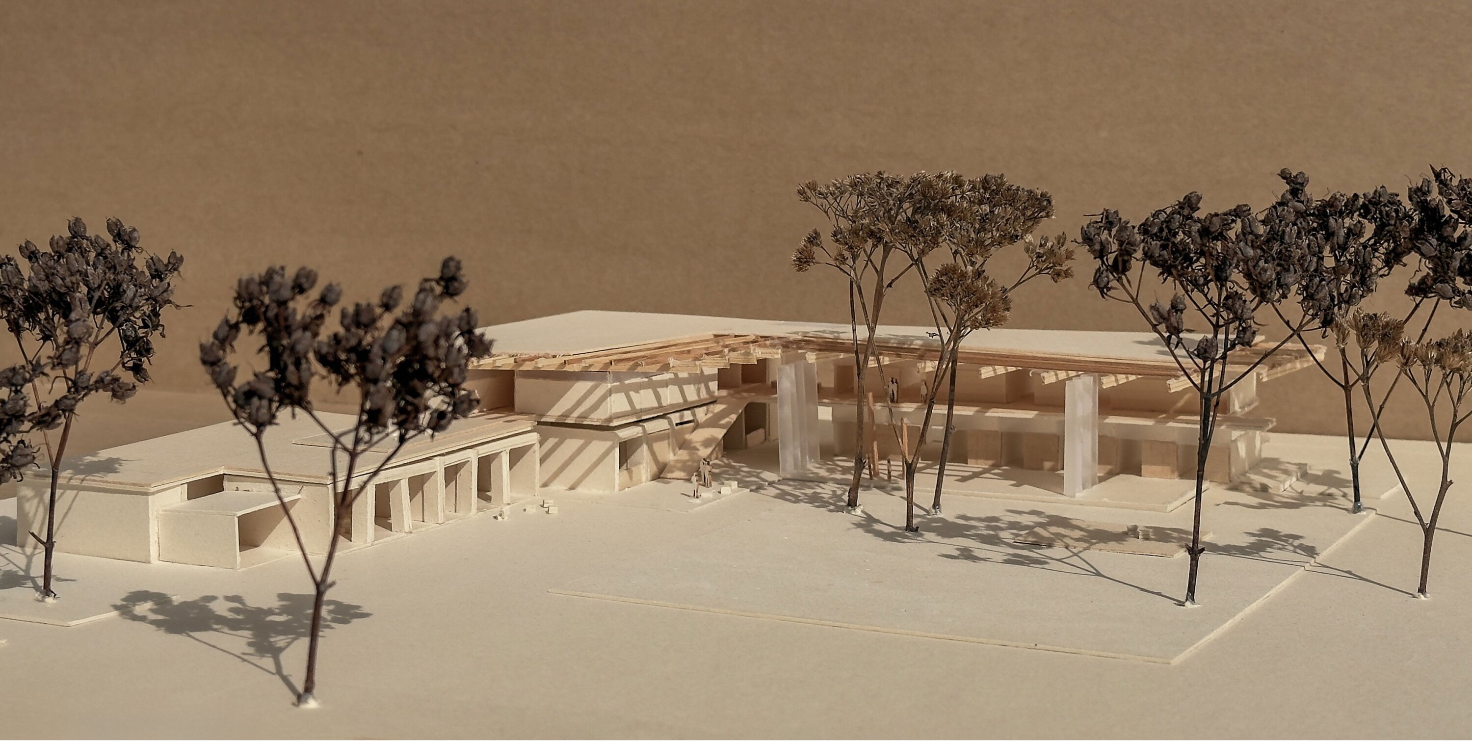 Project by Behnisch Architekturbuero, Robert Bogomolny Library. Modern multi-story building with a faceted white facade and glass atrium on a street corner. The interior lights glowing at dusk.